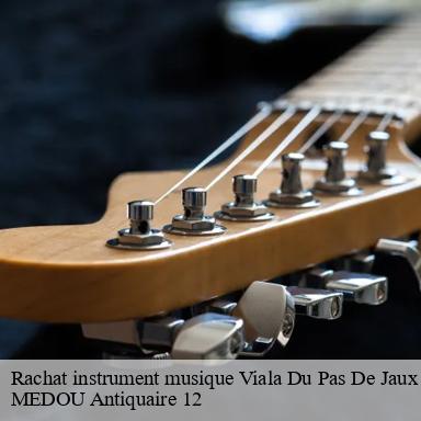 Rachat instrument musique viala-du-pas-de-jaux-12250 MEDOU Antiquaire 12