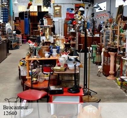 Brocanteur la-cresse-12640 MEDOU Antiquaire 12
