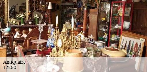 Antiquaire montsales-12260 MEDOU Antiquaire 12